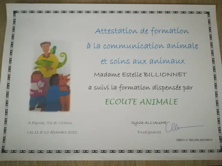 un certificat d'aptitude